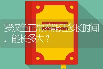 罗汉鱼正常养能活多长时间，能长多大？