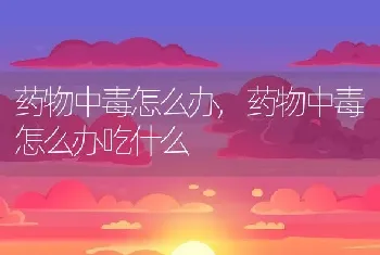 药物中毒怎么办，药物中毒怎么办吃什么