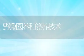 野兔圈养和笼养技术