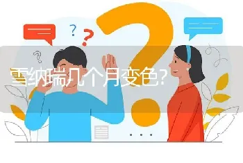 雪纳瑞几个月变色？