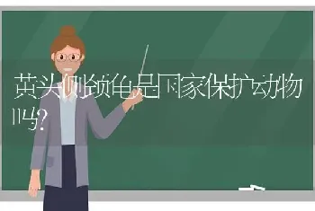 黄头侧颈龟是国家保护动物吗？