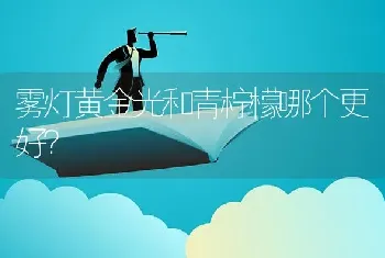 雾灯黄金光和青柠檬哪个更好？