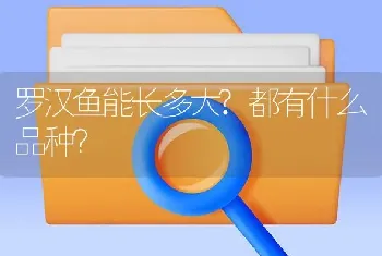 罗汉鱼能长多大？都有什么品种？