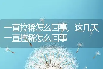 一直拉稀怎么回事，这几天一直拉稀怎么回事