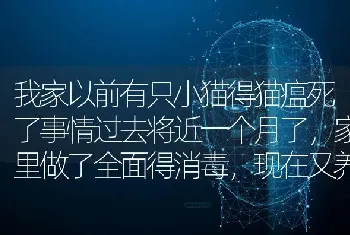 我家以前有只小猫得猫瘟死了事情过去将近一个月了，家里做了全面得消毒，现在又养了一只还会感染吗？