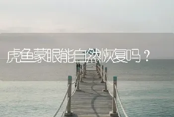 虎鱼蒙眼能自然恢复吗？