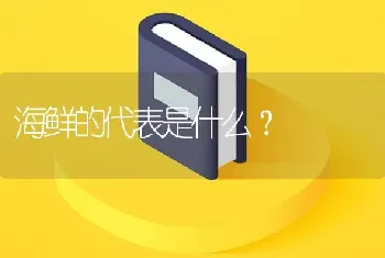 海鲜的代表是什么？