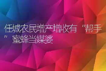 任城农民增产增收有帮手蜜蜂当媒婆