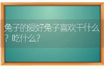 兔子的爱好兔子喜欢干什么？吃什么？