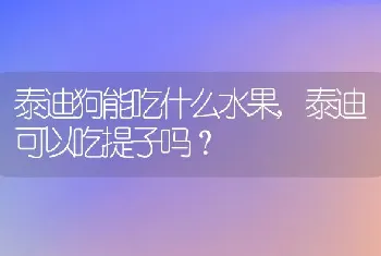 泰迪狗能吃什么水果，泰迪可以吃提子吗？