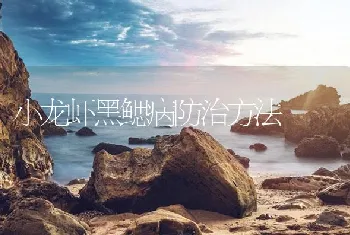 小龙虾黑鳃病防治方法