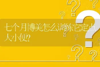 七个月博美怎么训练它定点大小便？