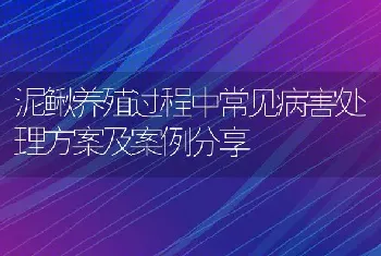 泥鳅养殖过程中常见病害处理方案及案例分享