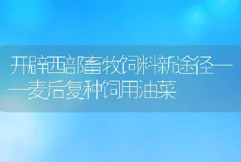 开辟西部畜牧饲料新途径——麦后复种饲用油菜