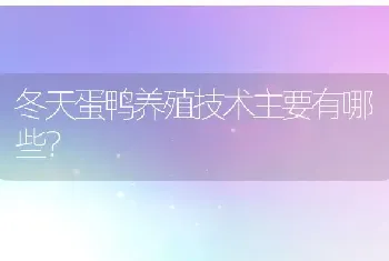 冬天蛋鸭养殖技术主要有哪些？