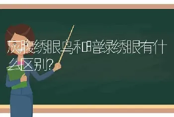 灰腹绣眼鸟和暗绿绣眼有什么区别？