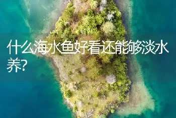 什么海水鱼好看还能够淡水养？