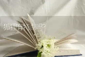 狐狸有特点吗？