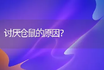 讨厌仓鼠的原因？