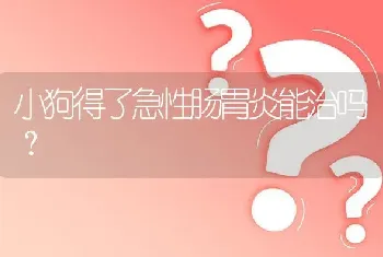 多肉吉娃娃可以纯颗粒养吗？