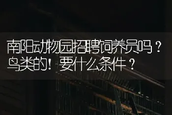 南阳动物园招聘饲养员吗？鸟类的！要什么条件？