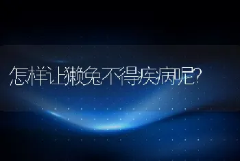 怎样让獭兔不得疾病呢？