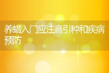 养蝎入门应注意引种和疾病预防