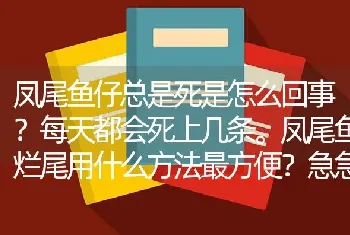 凤尾鱼仔总是死是怎么回事？每天都会死上几条。凤尾鱼烂尾用什么方法最方便？急急急？