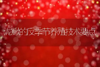 振动筛分设备在饲料加工中的应用及效率分析