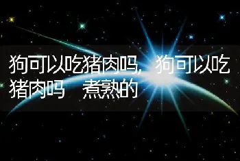 狗狗丢了千万不能找，在农村狗狗丢了千万不能找