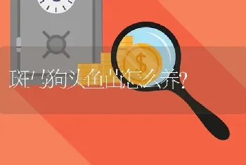 斑马狗头鱼苗怎么养？