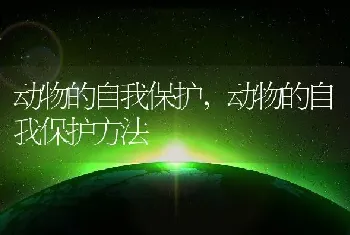 动物的自我保护，动物的自我保护方法