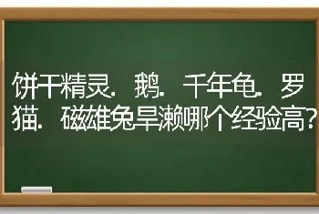 饼干精灵.鹅.千年龟.罗猫.磁雄兔旱濑哪个经验高？