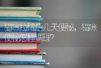 体重十斤以内的小狗是什么狗？