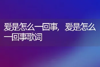 爱是怎么一回事，爱是怎么一回事歌词