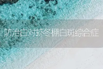 防治白对虾冬棚白斑综合症