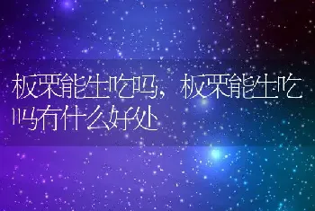 板栗能生吃吗，板栗能生吃吗有什么好处