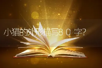 松狮犬的4大缺点，看完你会想要养一只吗？