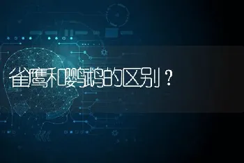 雀鹰和鹦鹉的区别？