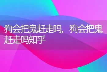 狗会把鬼赶走吗，狗会把鬼赶走吗知乎