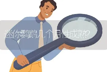 迷你鹦鹉几个月性成熟？