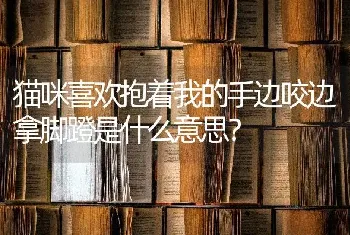 猫咪喜欢抱着我的手边咬边拿脚蹬是什么意思？