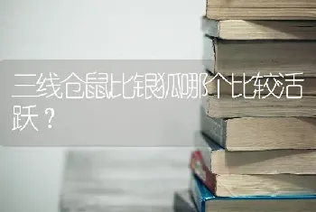 三线仓鼠比银狐哪个比较活跃？