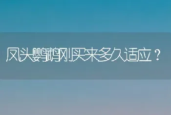 母猫发情应该立马给它配种吗？