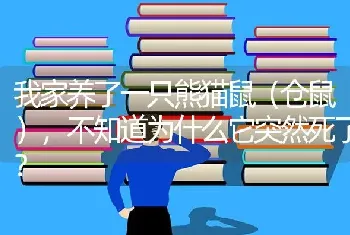 我家养了一只熊猫鼠（仓鼠），不知道为什么它突然死了？