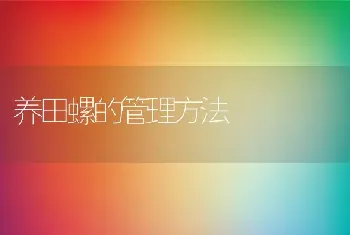 养田螺的管理方法