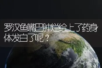 罗汉鱼嘴巴肿烂给上了药身体发白了呢？