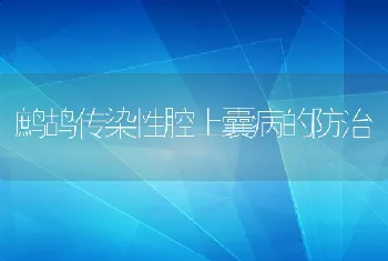 鹧鸪传染性腔上囊病的防治