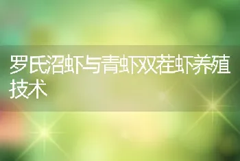 罗氏沼虾与青虾双茬虾养殖技术