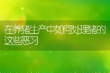 鲟鱼养殖之心外膜脂肪织炎防治技术